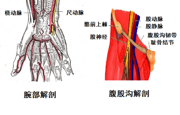 股动脉鞘管留置时间